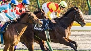 富士Sは“左回り巧者”の激走期待 人気落ちなら絶好の狙い目だ