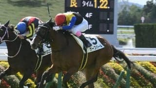 【京都4R新馬戦結果】ブリックスアンドモルタル産駒のケーブパールが差し切りV！