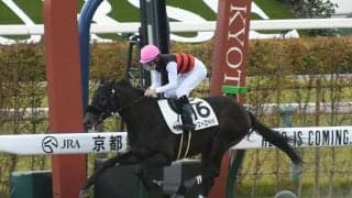 【京都3R新馬戦結果】シャンハイボビー産駒のキャストロペペが快勝！