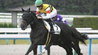 【京都5R新馬戦結果】キタサンブラック産駒のブルーアイドガールが差し切りV！