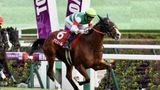 【富士S】モレイラ騎乗、ナミュールが復活V