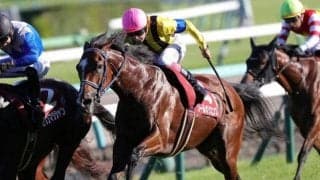 【菊花賞前日オッズ】ソールオリエンスが2.9倍で1番人気