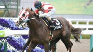 僅か3頭で希少！ 新種牡馬スピリッツミノルの産駒が初出走初勝利なるか