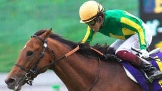 4年前の菊花賞2着馬サトノルークス ブラジルCでダートに初挑戦