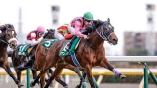 【AI予想・菊花賞】長距離らしい傾向が見られる牡馬クラシック最終戦！ 本命は名手と共に春のリベンジに燃える力量馬