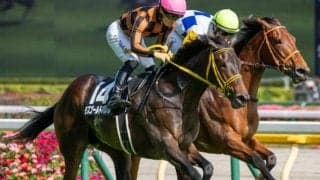 【三年坂S予想】前走は負けて強しのモズゴールドバレル 川田騎手との再コンビで決める