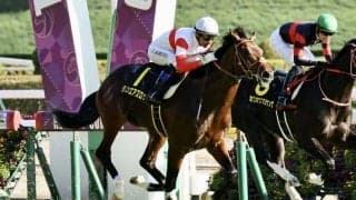 【アイビーS】出世レースを制したのは4.5億ホース・ダノンエアズロック