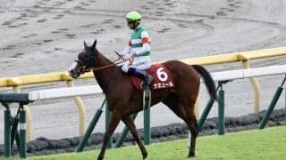 【富士S】モレイラ「余裕があった」ナミュールが重賞2勝目