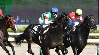 菊花賞で台頭する伏兵のタイプは決まっている　過去データから導いた穴馬候補３頭