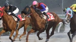 【高知・レッドファルクス賞】単勝1.0倍アポロティアモが辛勝…吉原「苦しい展開でも勝ちきれた」