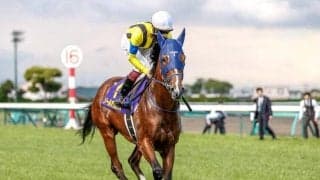 【菊花賞予想】淀の舞台に戻ってきたクラシック最終戦