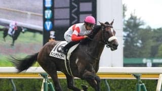 金子オーナーが２億円で落札したハーツクライ産駒　期待馬フレミングフープはバランスがいい