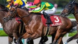 菊花賞の人気2頭に不安材料あり!? 友道厩舎のサトノグランツが逆転戴冠だ