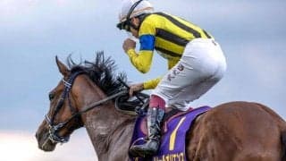 【菊花賞予想】上位人気3頭ボックス馬連に妙味なし？ 狙うべき3着候補人気薄馬の共通点とは!?