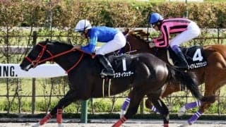 【なでしこ賞】ナスティウェザーがV…岩田望はJRA通算400勝達成