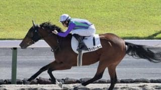 【新馬/京都4R】6番人気ミライテーラーが鮮やかに逃げ切る