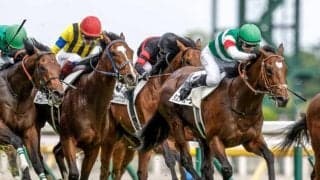 【菊花賞・馬体重】ソールオリエンスは464kg(+4)、タスティエーラは480kg(+2)