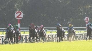 【JRA・WIN5】本日のWIN5は的中166票、配当275万4690円