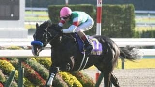 【菊花賞】ドゥレッツァ圧勝！5連勝で最後の1冠奪取！