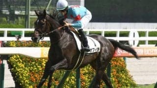 【アルテミスS】サフィラ、ショウナンマヌエラらが登録