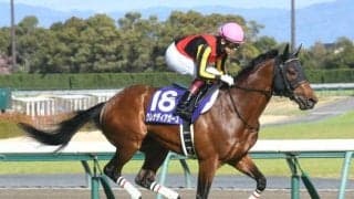 【スワンS】グレナディアガーズ、アヴェラーレらが登録