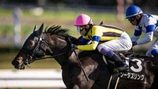 【三年坂S】武豊騎乗、ソーダズリングが差し切りV