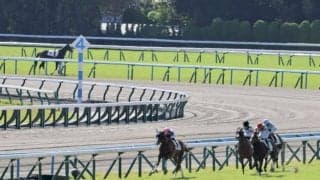 【新馬/京都5R】シュクルノアールが競走中止…予後不良に