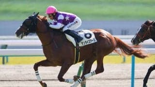 【新馬/京都5R】レイデオロ産駒 サンライズアースがデビューV…シュクルノアールは競走中止