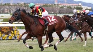 【スワンS登録馬】グレナディアガーズなど21頭