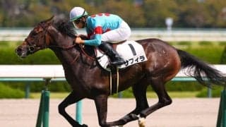 【アルテミスS登録馬】サフィラなど11頭