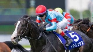 【天皇賞・秋登録馬】イクイノックス、ドウデュースなど13頭