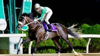 【佐賀・カペラ賞】ウルトラノホシが重賞連勝…石川倭「外へ出せれば勝てると思っていた」