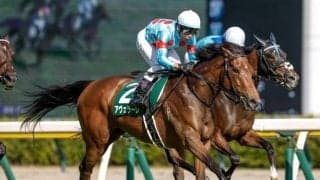 【スワンS見どころ】アヴェラーレがアルビアーノとの母子制覇を狙う