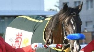 【菊花賞】売上は195億294万6500円で昨年より約11億円増加