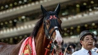 【富士S】売上は45億9659万1100円で昨年より約3億円増加