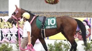 【船橋・平和賞枠順】カプセルは1枠1番、ルーラーオブダートは8枠10番