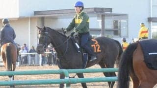 年度代表馬リスグラシューの近親 ジオセントリックが初陣/関東馬メイクデビュー情報