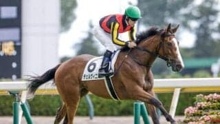 【アルテミスS想定騎手】チェルヴィニアはC.ルメール騎手、ライトバックは浜中俊騎手