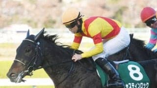 【先週のJRA抹消馬】21年の京都2歳Sを制したジャスティンロック、熊本県産馬ヒノクニなど