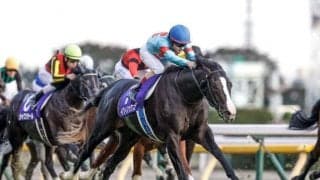 【天皇賞(秋)想定騎手】イクイノックスはC.ルメール騎手、ドウデュースは武豊騎手など13頭