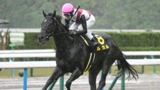 【スワンS想定騎手】ルガルは武豊騎手、グレナディアガーズは岩田望来騎手