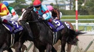 ルメール騎手が2年連続5勝目狙う 世界最強馬イクイノックスと天皇賞(秋)連覇へ
