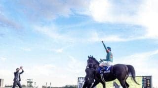 天皇賞(秋)の指定席は最大「21.3倍」 スマートシートも3倍以上の倍率