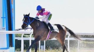 【笠松7R】宮下瞳とのコンビで、オマタセシマシタが逃げ切りV…ジャンポケ斉藤愛馬