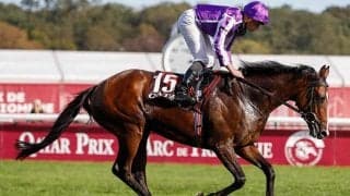 ハーツクライ産駒の英G1馬コンティニュアスがジャパンC参戦へ A.オブライエン師が明かす