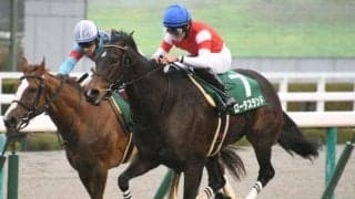 【スワンS展望】マイルCSの前哨戦、逃げ先行馬が優勢