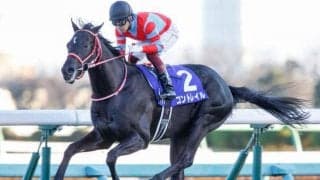 日本競馬で重要な“アンブライドルズソング”の特徴とは コントレイルやスワーヴリチャードの母父