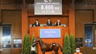 史上初の億超えホース誕生なるか ノーザンファームミックスセール2023がきょう開催