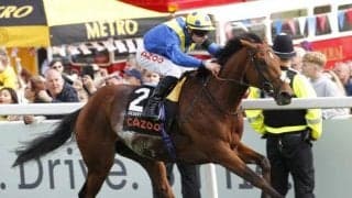 4戦3勝の22年英ダービー馬が安楽死に 脚の故障悪化のため