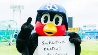 つば九郎の人生相談「どんな先輩がいい先輩だと思いますか？」